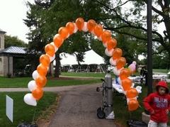 Balloon Arch (24 Ft.) Balloon Arch (24 Ft.)